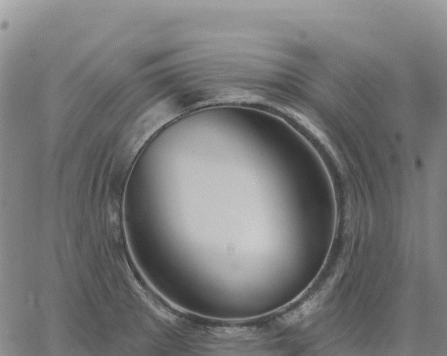 X0000061751281200512091626