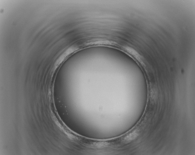 X0000061751282200512091626