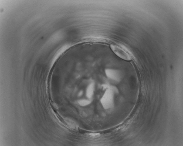 X0000061751283200512091626