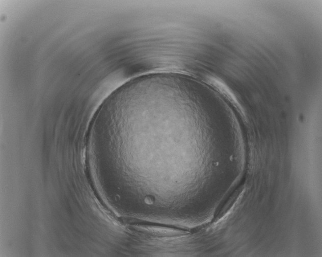 X0000061751284200512091626