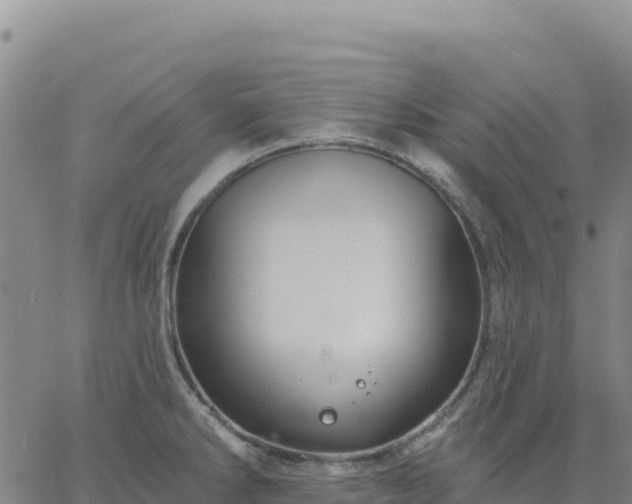 X0000061751286200512091626