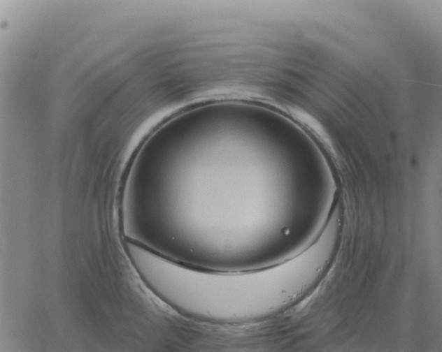 X0000061751288200512091626