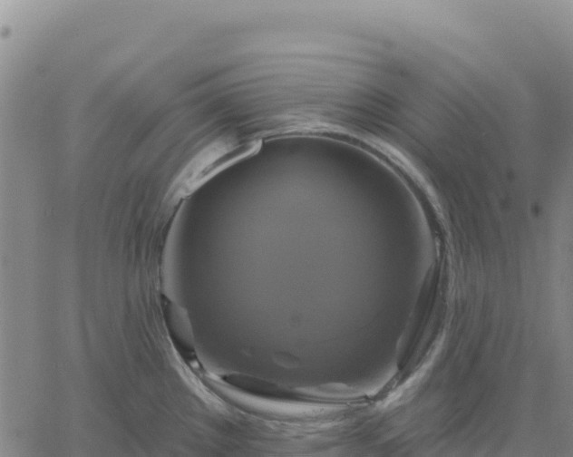 X0000061751289200512091626