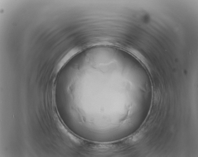 X0000061751290200512091626