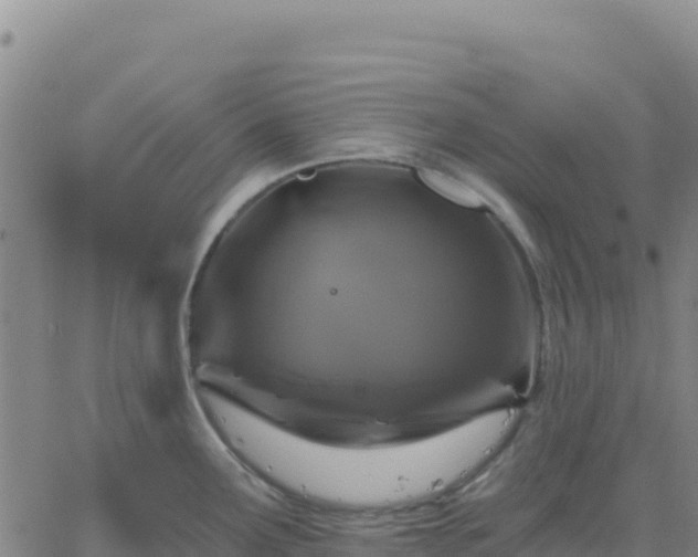 X0000061751291200512091626