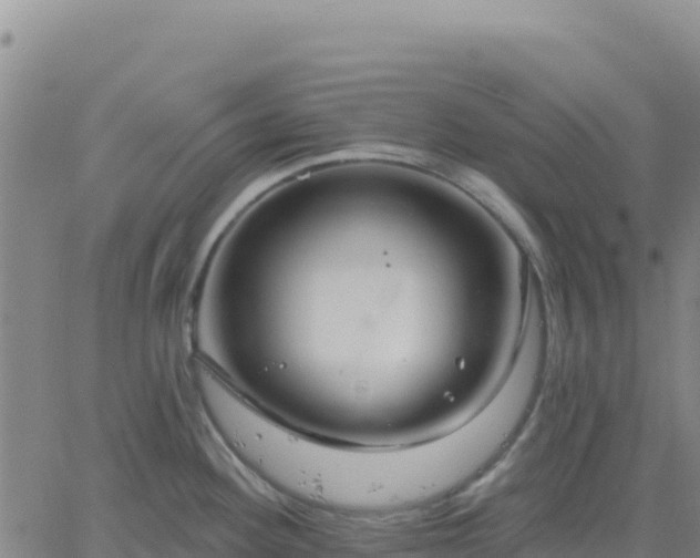 X0000061751292200512091626