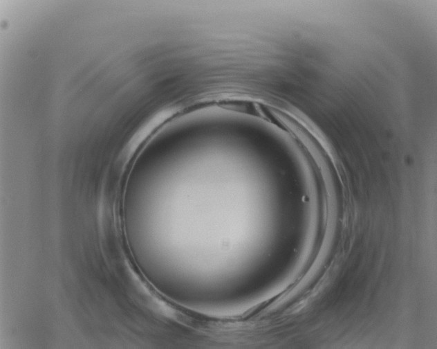 X0000061751293200512091626