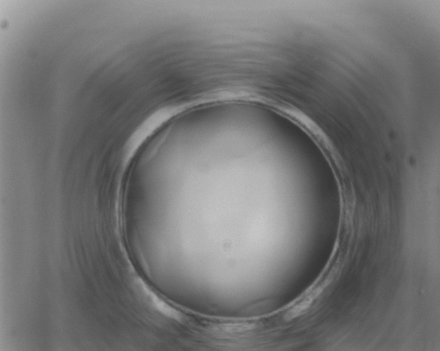 X0000061751294200512091626