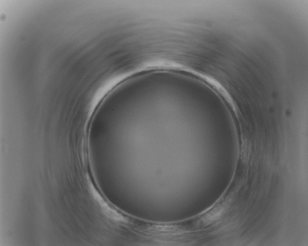 X0000061751295200512091626