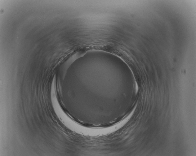 X0000061751298200512091625