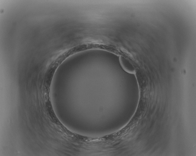 X0000061751303200512091625