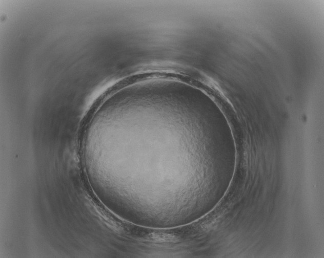 X0000061751312200512091626