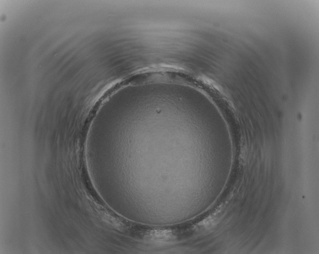 X0000061751313200512091626