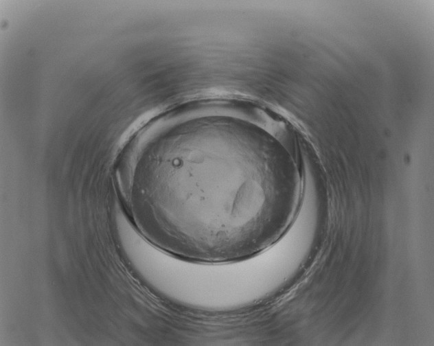 X0000061751314200512091626