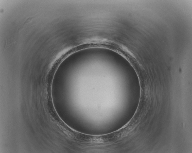 X0000061751315200512091626