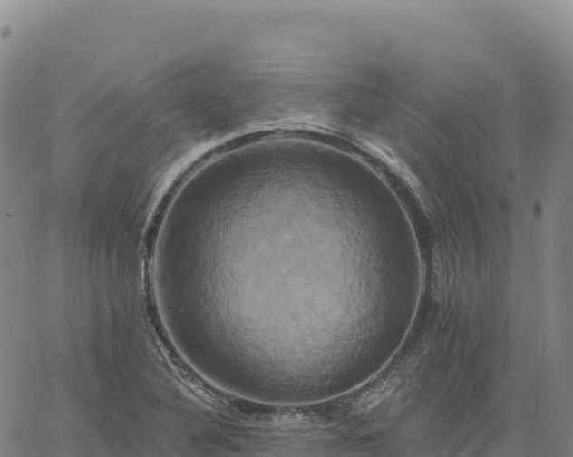 X0000061751316200512091626