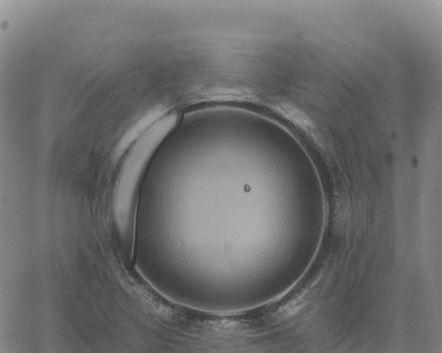 X0000061751317200512091626