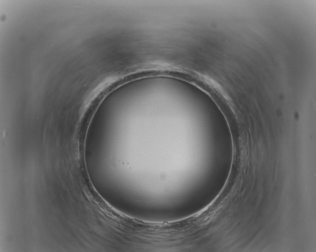 X0000061751318200512091626