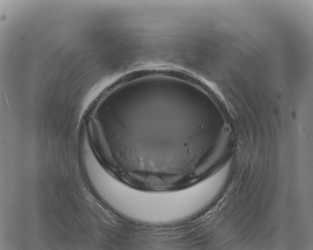 X0000061751319200512091626