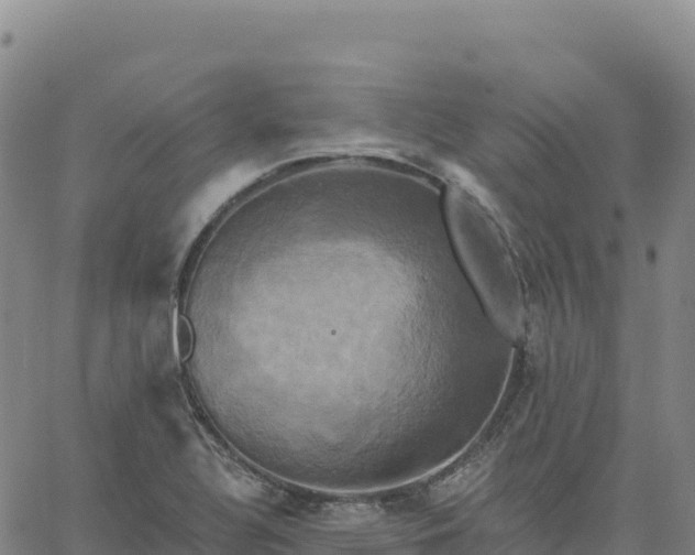 X0000061751320200512091626