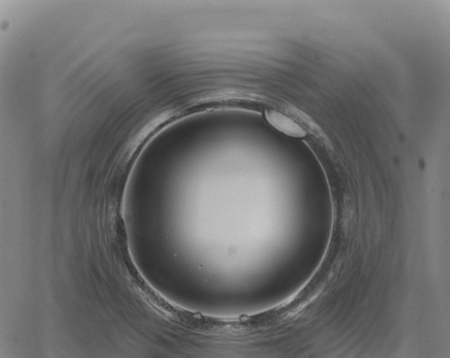 X0000061751321200512091626