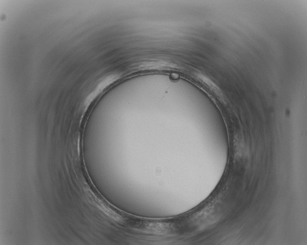 X0000061751322200512091626