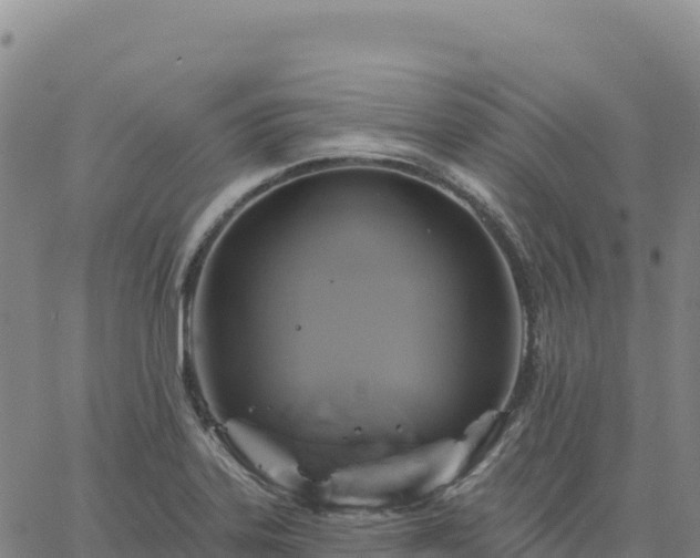 X0000061751323200512091626