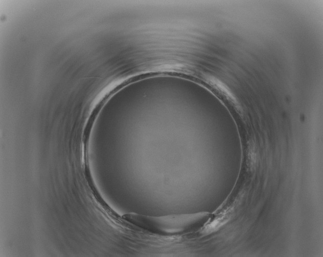 X0000061751324200512091626