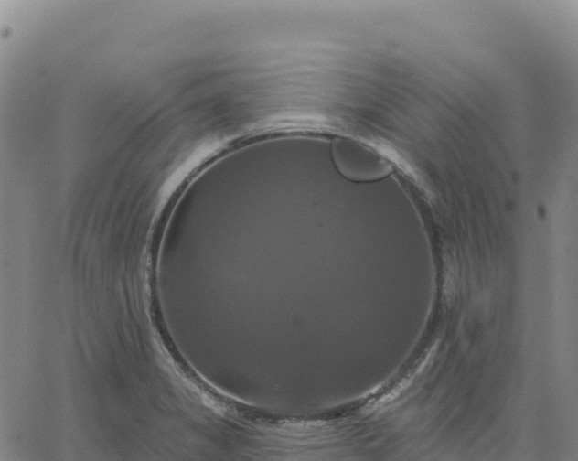 X0000061751325200512091626