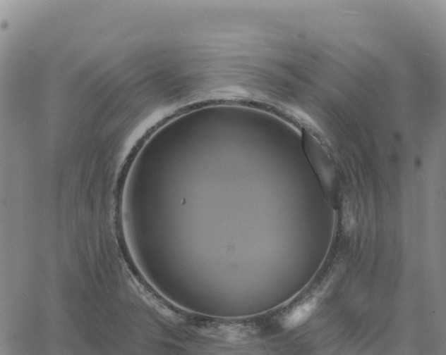 X0000061751326200512091626