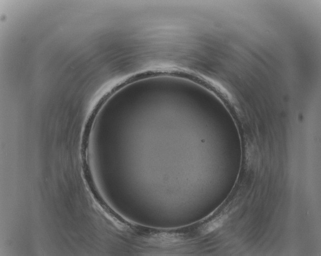 X0000061751327200512091626