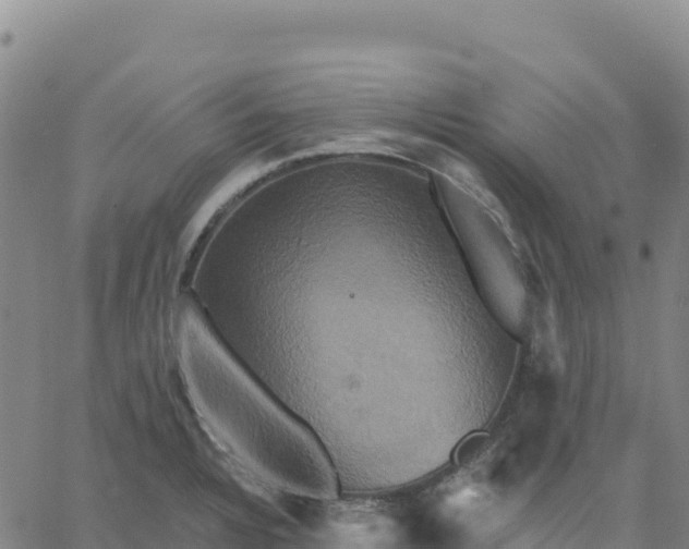 X0000061751328200512091626