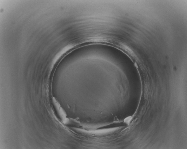 X0000061751331200512091626