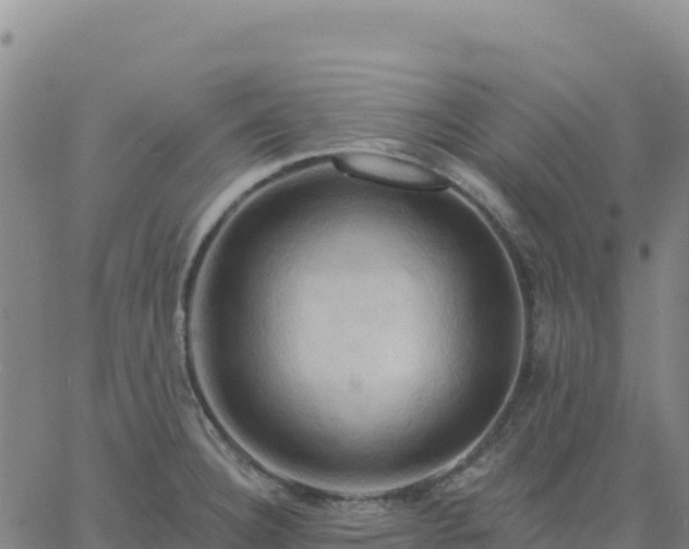 X0000061751332200512091626