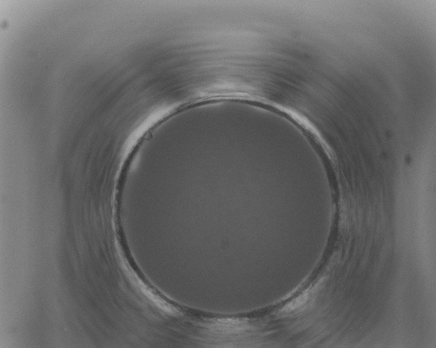 X0000061751333200512091626