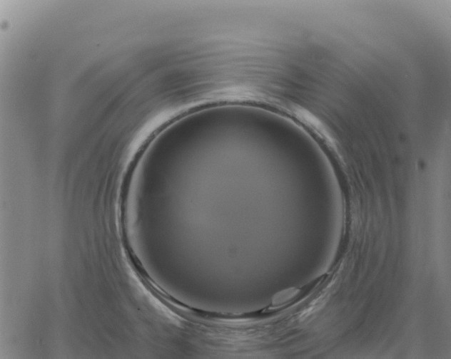 X0000061751334200512091626