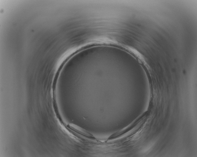 X0000061751335200512091626