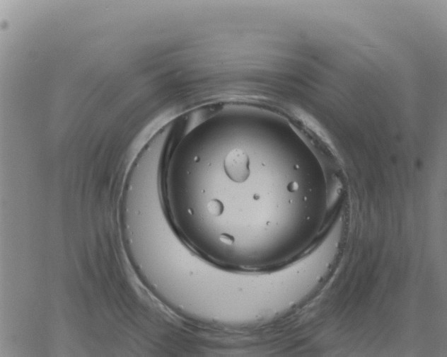 X0000061751338200512091626