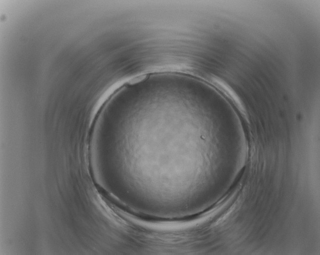 X0000061751340200512091626