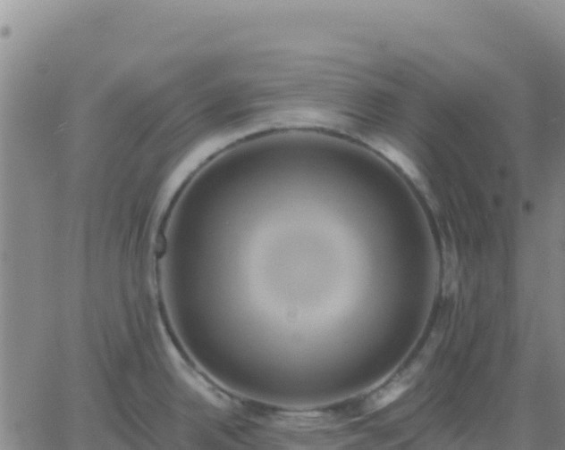 X0000061751342200512091626