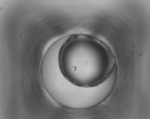 X0000061751344200512091626