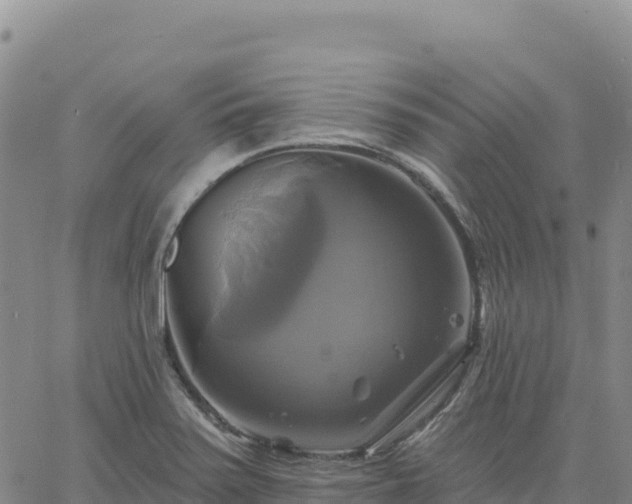 X0000061751371200512091625