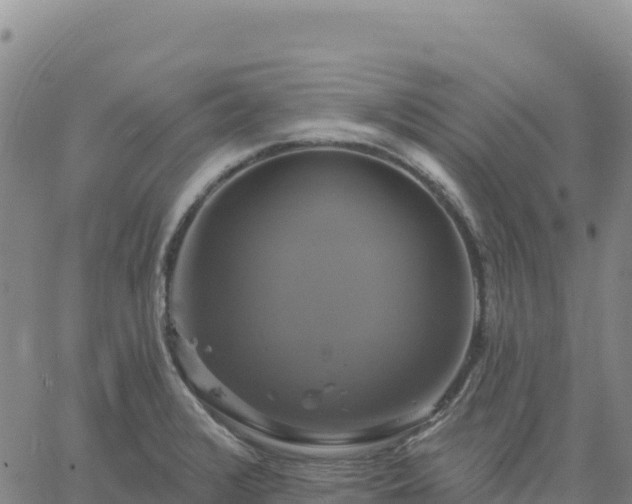 X0000061751376200512091625