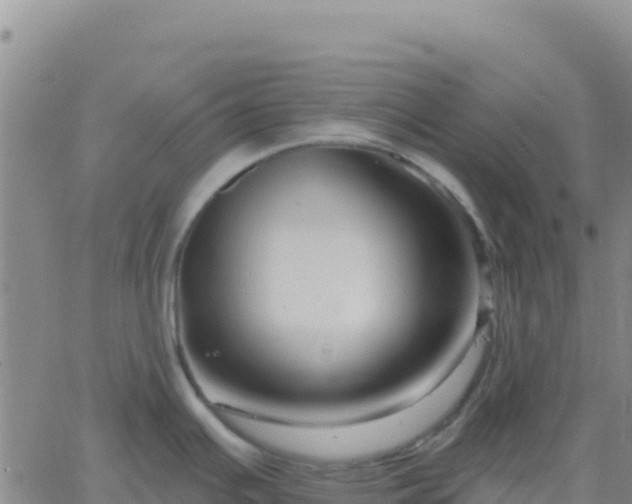 X0000061751391200512091625