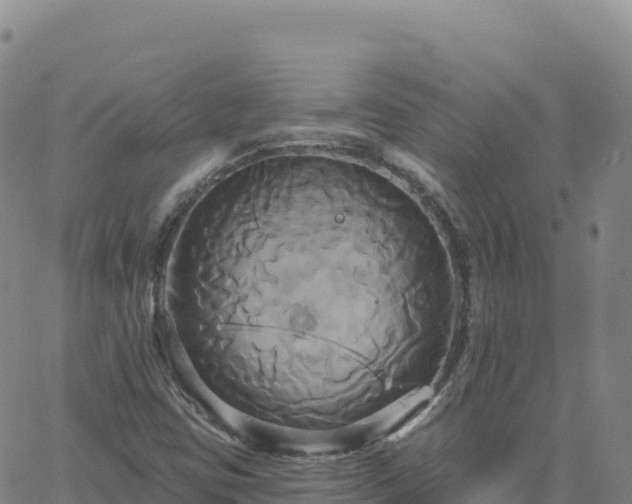X0000061751403200512091624