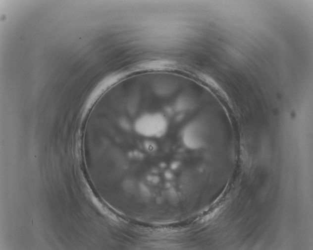 X0000061751421200512091624