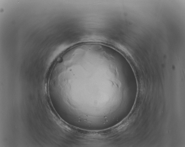 X0000061751462200512091623