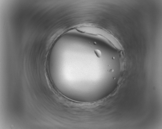 X0000061750001200512161729