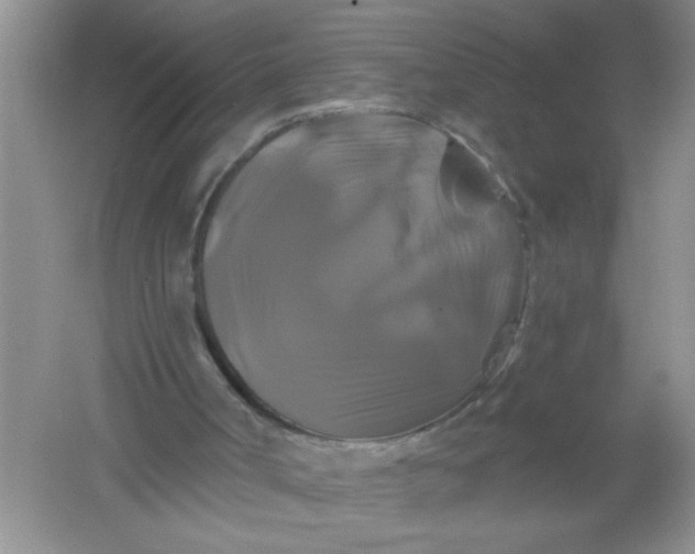 X0000061750002200512161729