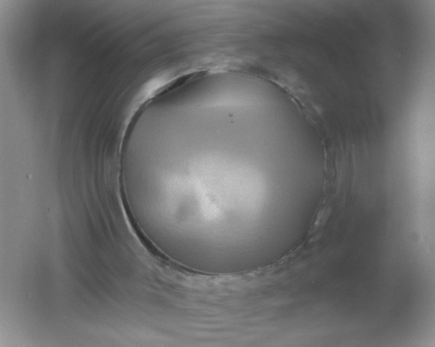 X0000061750003200512161729